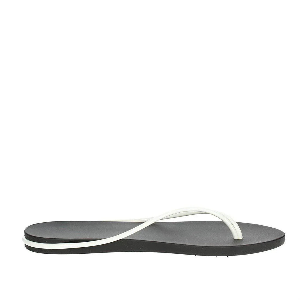 Ipanema With Starck 81601 - AroSport - ארוספורט Ipanema